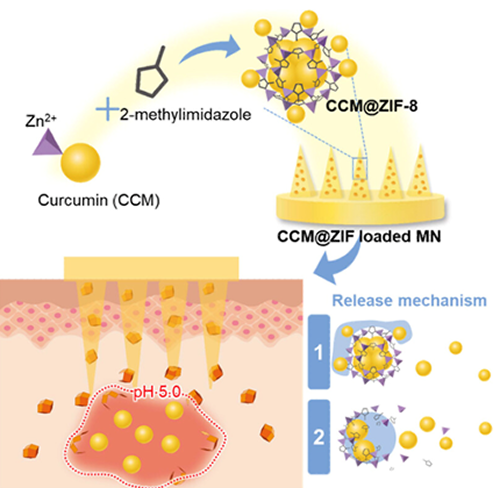pH-responsive ZIF degradation and release analysis